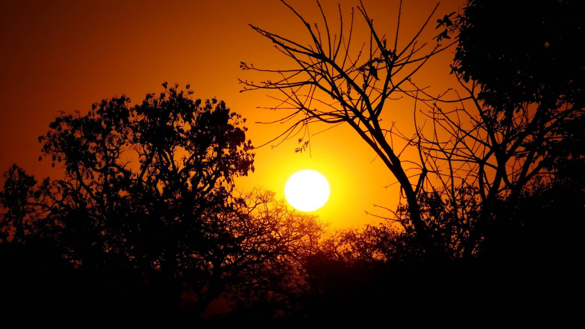Nova onda de calor atinge a região e umidade do ar chega a 14%