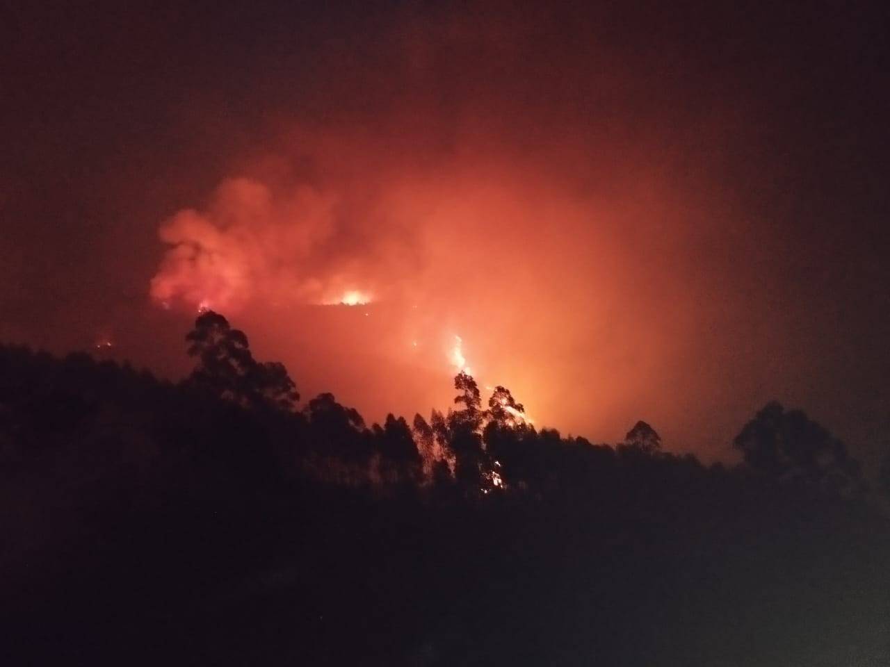 Defesa Civil de SP estende alerta para risco elevado de queimadas.