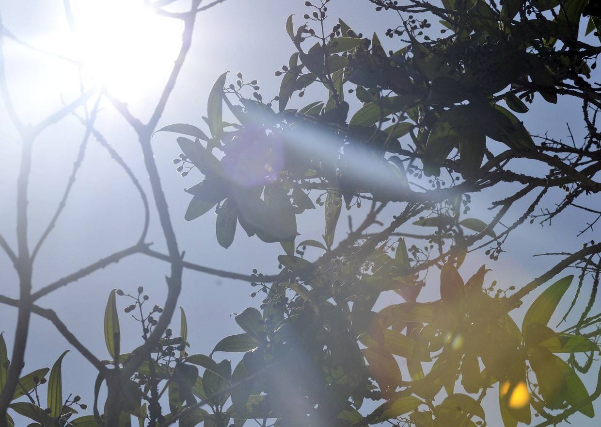 Primavera Começa com Calor Intenso no Vale do Paraíba, com Previsão de Até 38°C