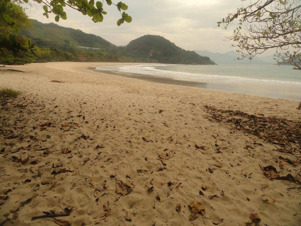 Praias do Litoral Norte de SP estão entre as mais bonitas do Brasil, aponta ranking de turistas