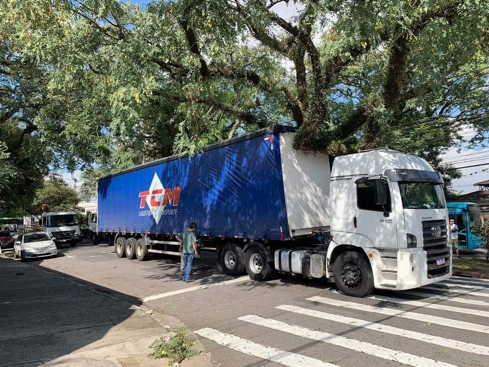 Caminhão fica preso em árvore e causa transtornos no trânsito no Jardim Satélite