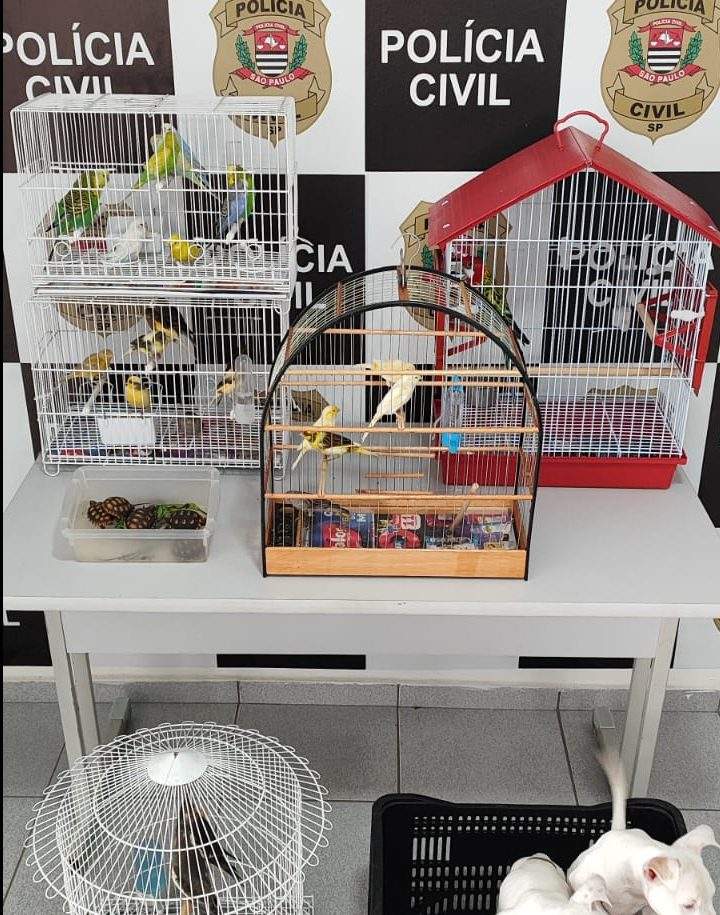 Polícia Civil combate venda ilegal de animais em feira de São José dos Campos