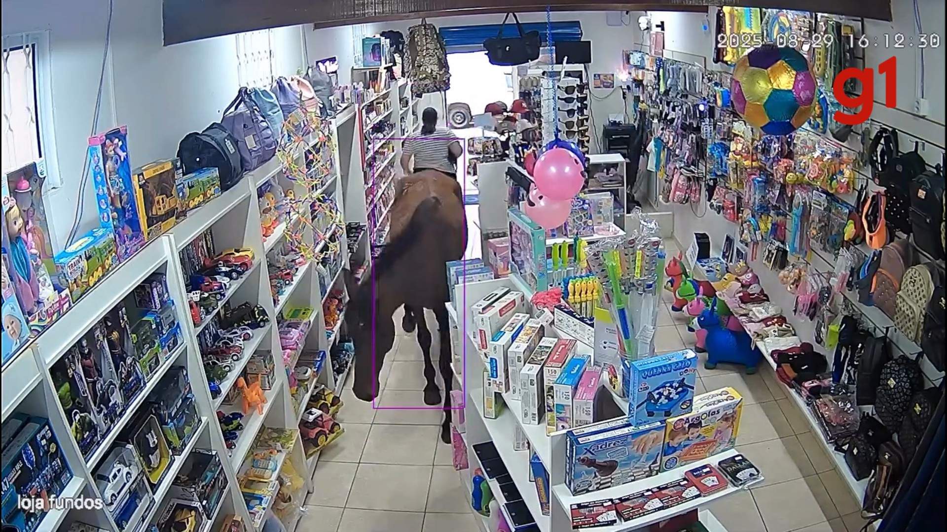 Cavalo perdido invade loja e ‘passeia’ por prateleiras no interior de SP