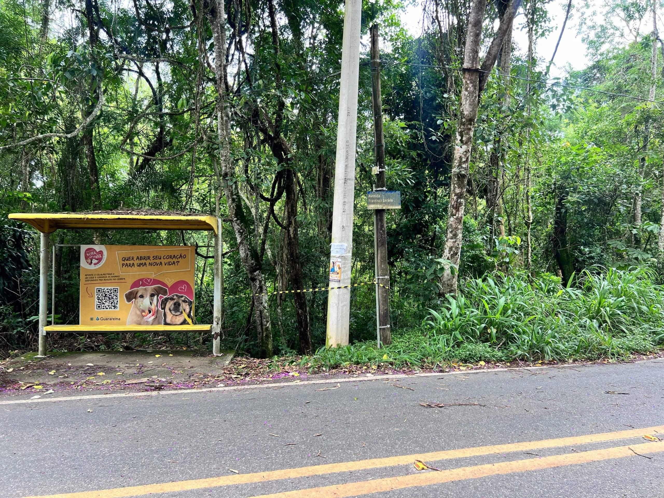 Júri de acusados de tentar matar grávida em Guararema é suspenso